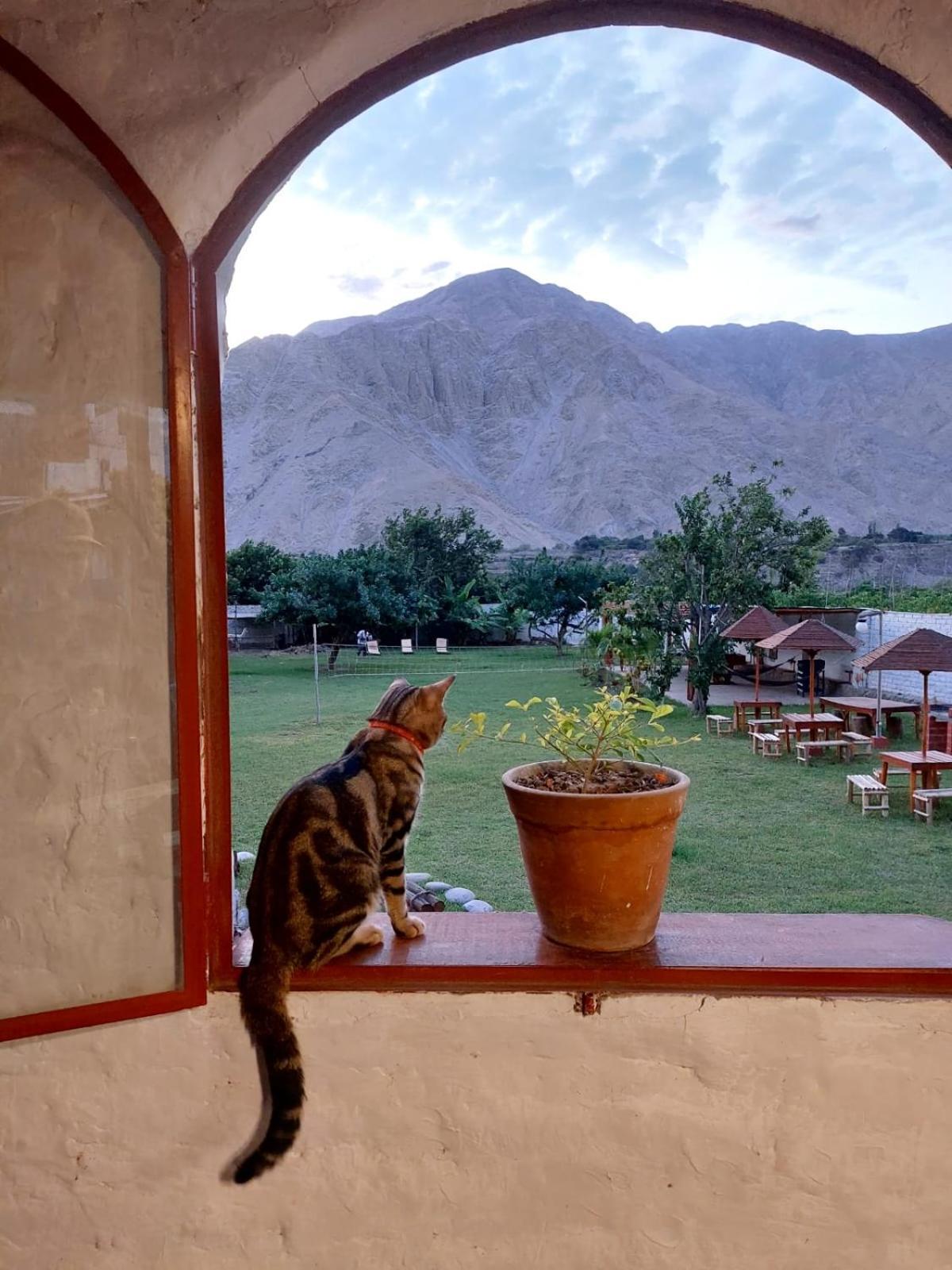 La Fortaleza Del Inca Лунауана Экстерьер фото